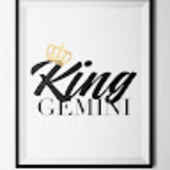 vkinggemini